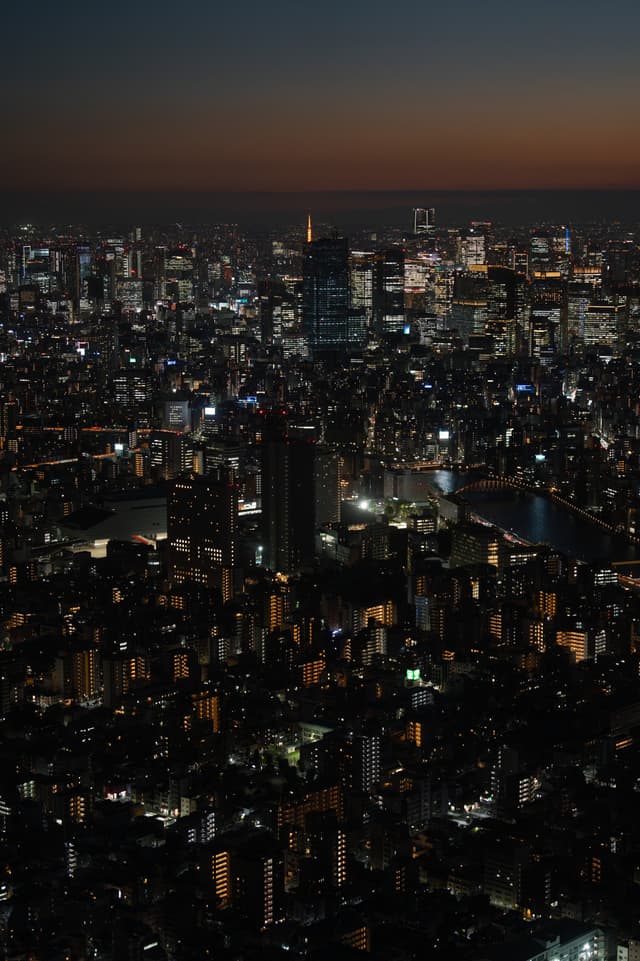 Tokyo in Twilight