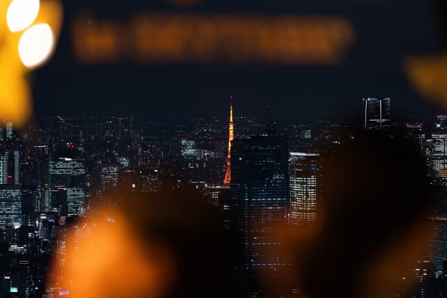 A Distant Look of Tokyo Tower