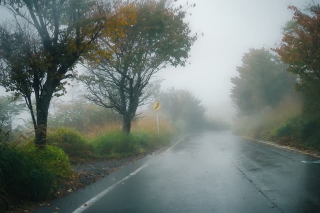 Misty Road 2