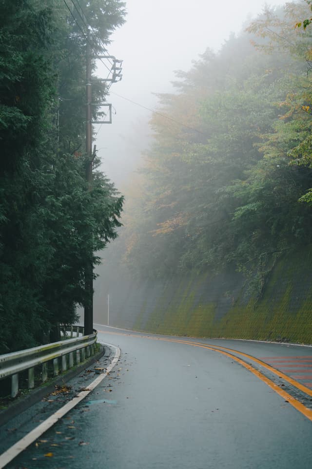 Misty Road