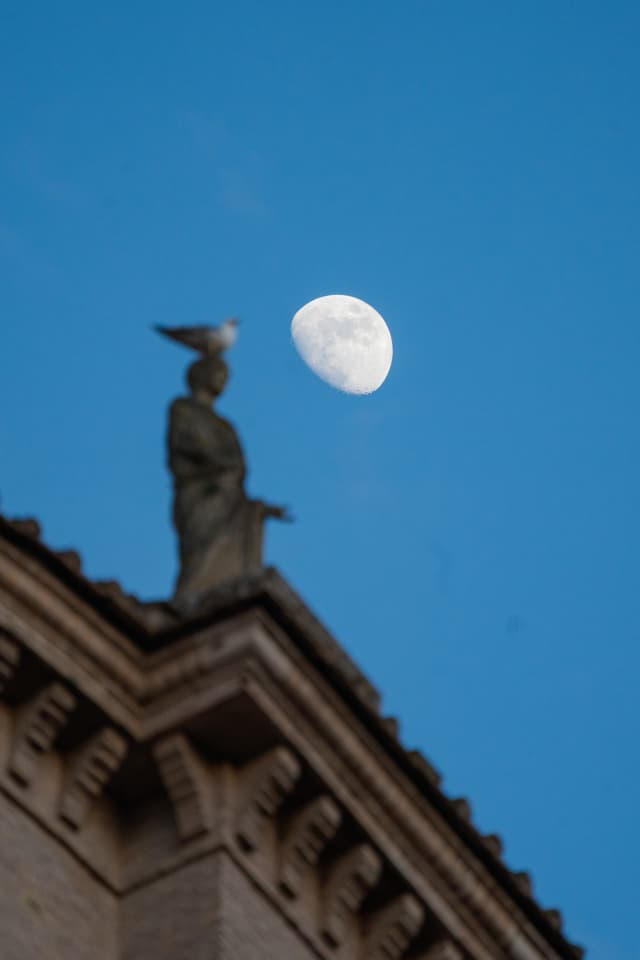 Statue, Seagull and Moon 2