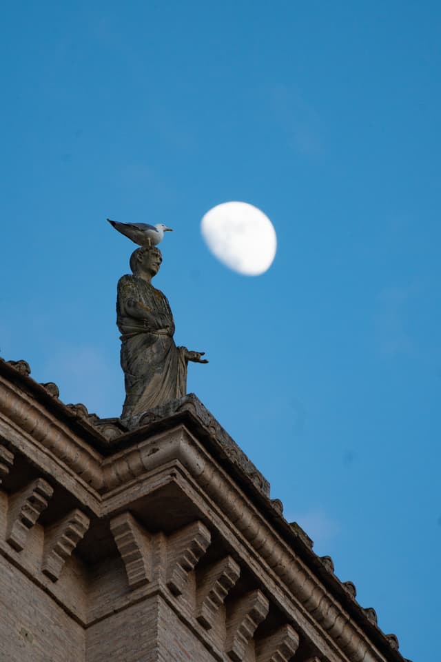 Statue, Seagull and Moon