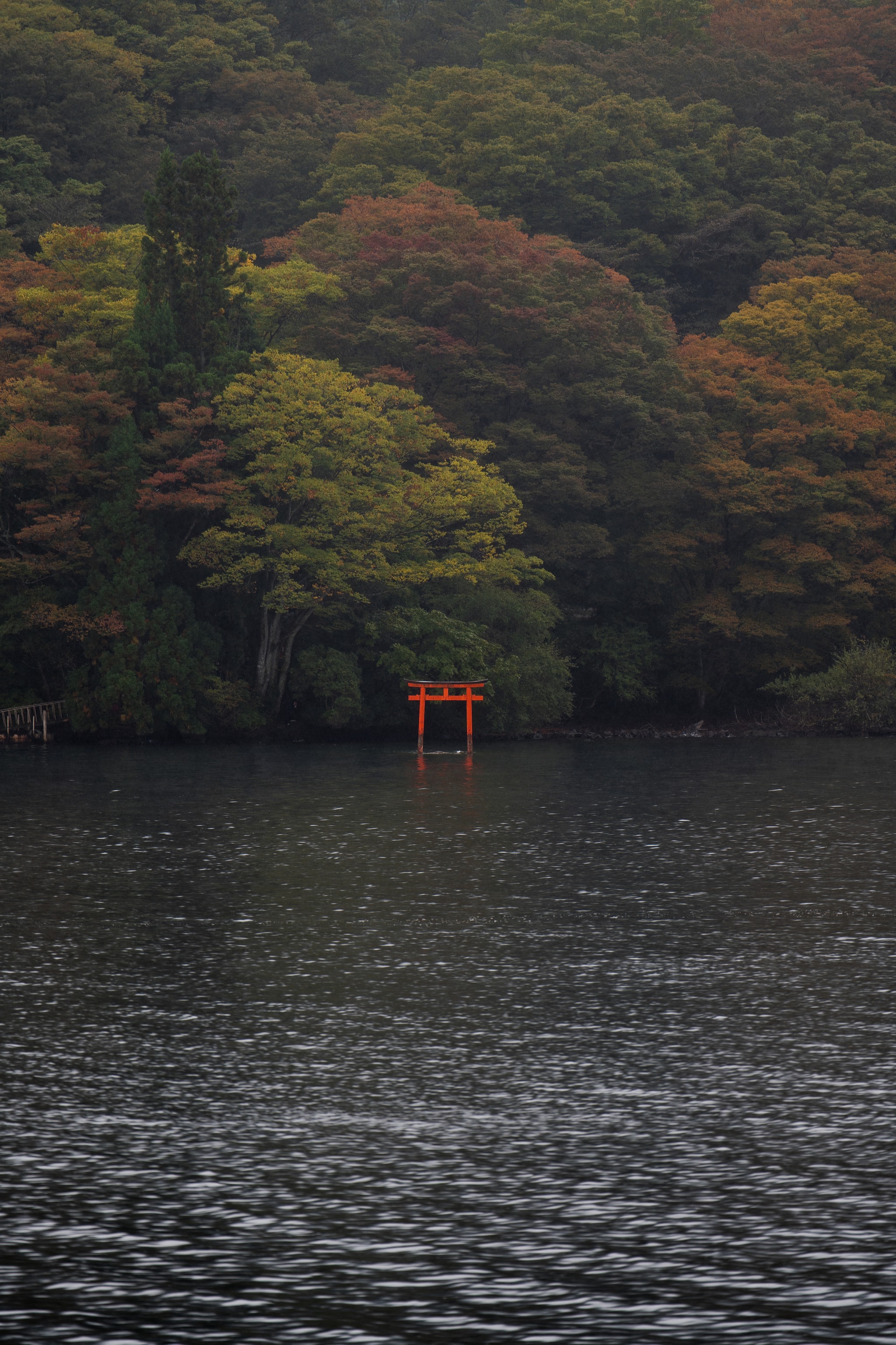 Torii at Waterside