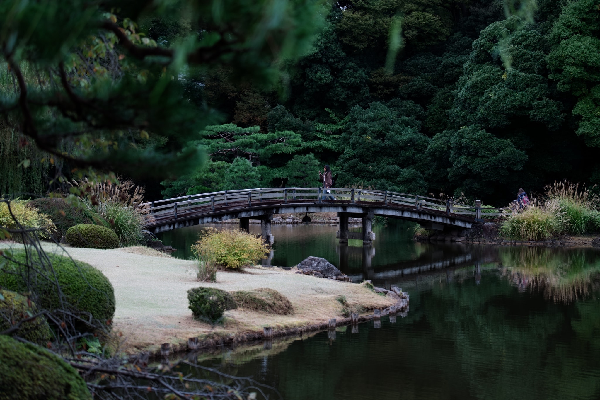 Shinjuku Gyoen