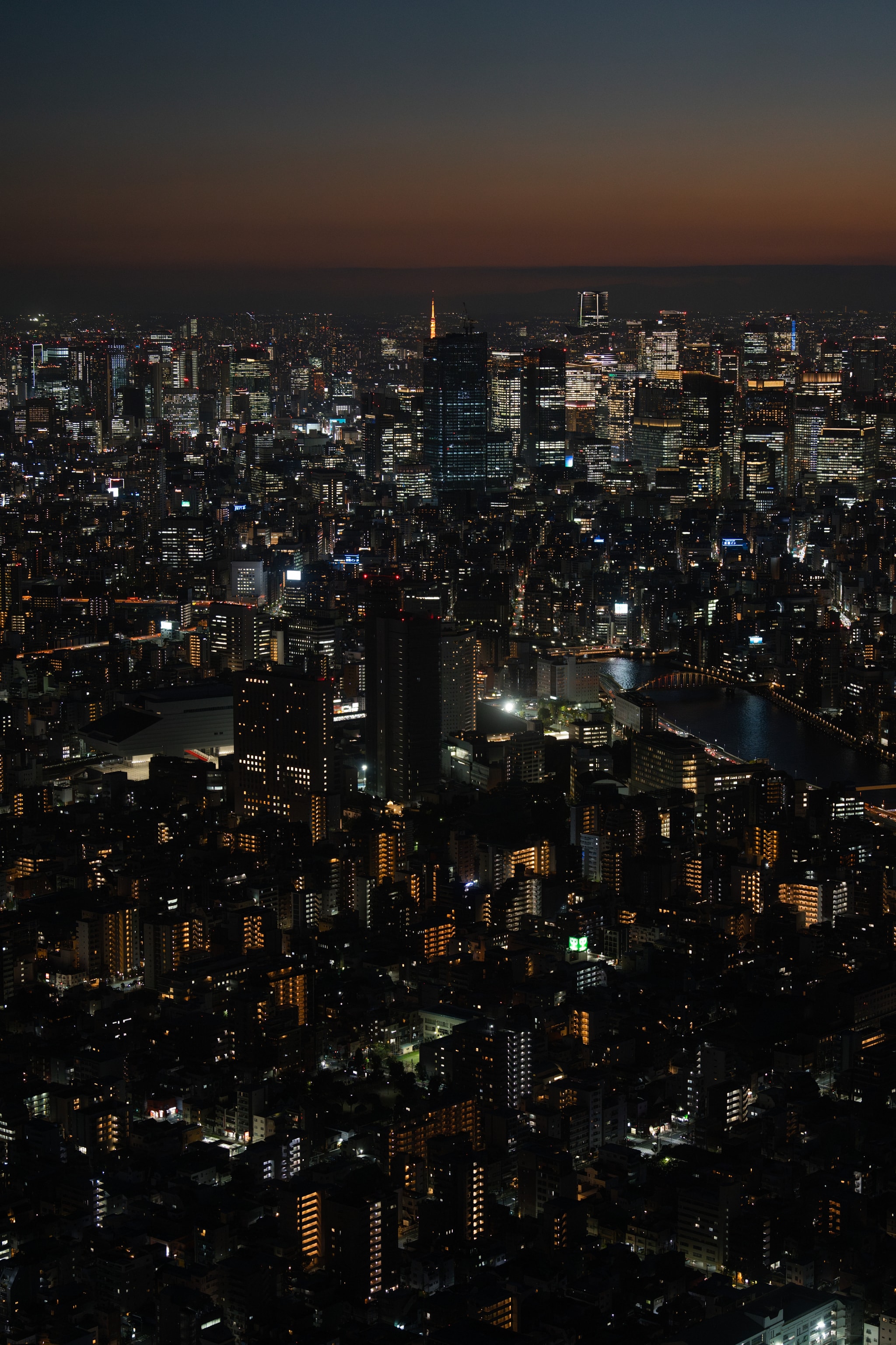 Tokyo in Twilight