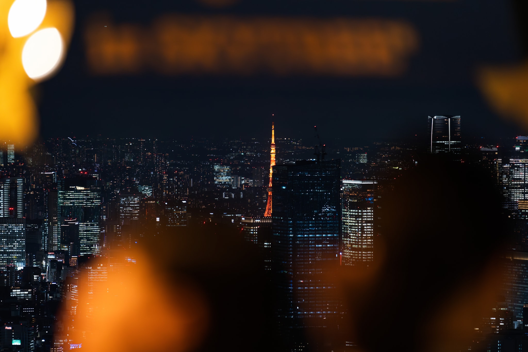 A Distant Look of Tokyo Tower