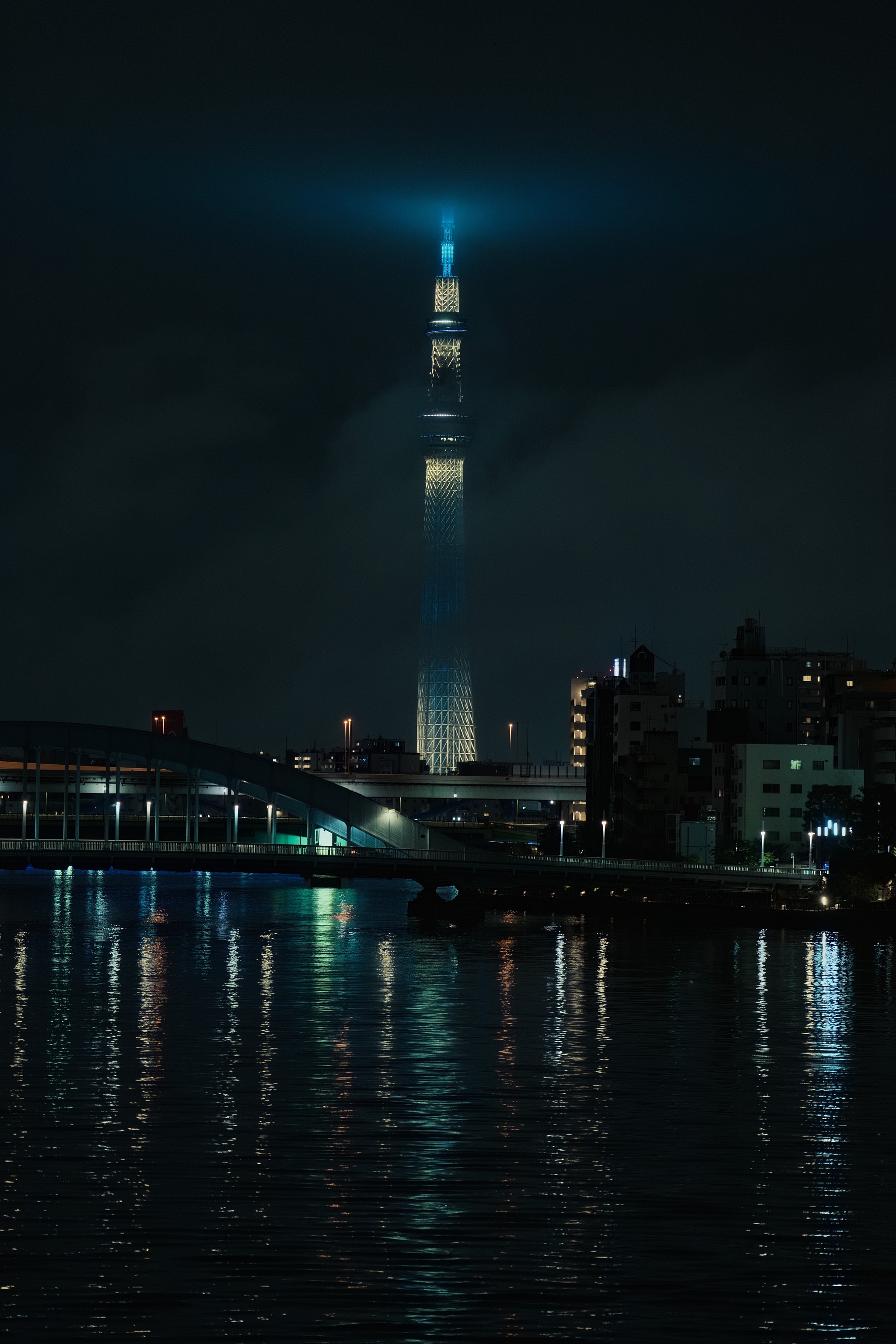 Sky Tree at Night